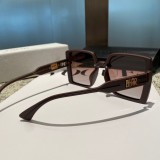 Dior Classic Fashion Box Polarized Sunglasses