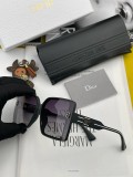 Dior Classic Box Polarized Sunglasses