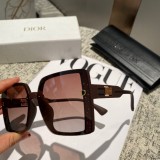 Dior Classic Fashion Box Polarized Sunglasses