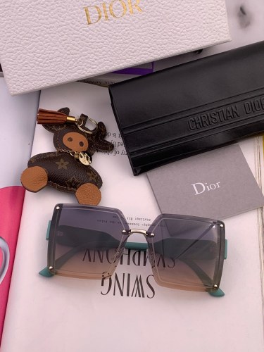 Dior Fashion Women's Box Polarized Sunglasses