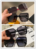 Louis Vuitton Classic Box Polarized Sunglasses