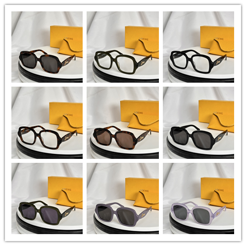 Loewe Classic Round Sunglasses Size: 53-19-145