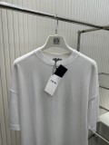 Dior Flocking Logo Embroidered Woolen Short Sleeves