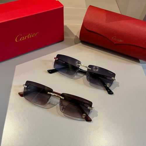 Cartier Fashion Metal PC Mirror Leg Sunglasses