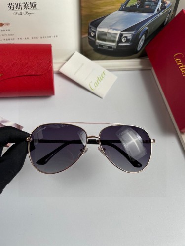 Cartier Classic Fashion Men's Polarized Sunglasses