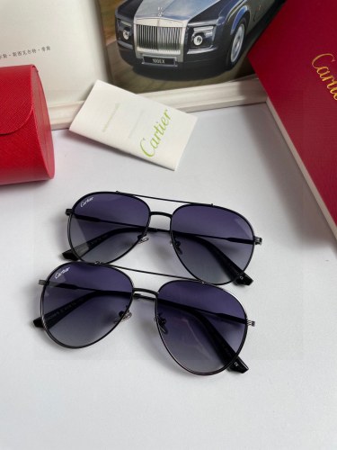 Cartier Classic Fashion Men's Polarized Sunglasses