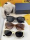 Louis Vuitton Fashion Classic Glasses Sunglasses