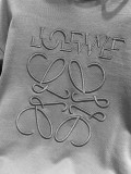 Loewe Couple Personality Misaligned Letter Logo Embroidered Casual Hoodie