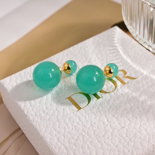 Dior New Fashion Earrings