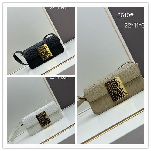 Dior Classic Retro Logo Flip Bag Crossbody Bag