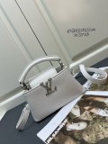 Louis Vuitton Classic Logo Letter Mini Handbag Size: 22 x 12 x 8 CM
