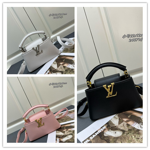 Louis Vuitton Classic Logo Letter Mini Handbag Size: 22 x 12 x 8 CM