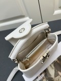 Louis Vuitton Classic Logo Letter Mini Handbag Size: 22 x 12 x 8 CM