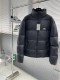 Balenciag New Classic Stand Up Skiing Down Jacket