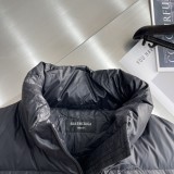 Balenciag New Classic Stand Up Skiing Down Jacket