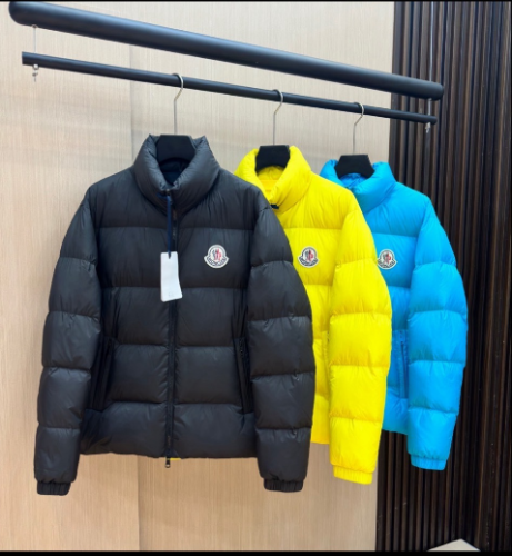 Moncler New Fashion Versatile Stand Up Collar Down Jacket