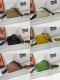 Prada New Fashion Lychee patterned Leather Shoulder Strap Camera Bag Size: 22 x 14 x 8CM