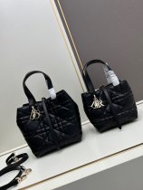 Dior New Fashion Versatile Vertical Leather Handbag