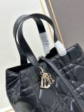 Dior New Fashion Versatile Vertical Leather Handbag