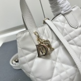 Dior New Fashion Casual Tengge Vertical Leather Handbag Size: 16 x 18 x 12 CM