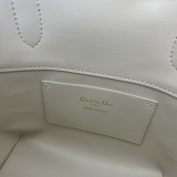 Dior New Fashion Casual Tengge Vertical Leather Handbag Size: 16 x 18 x 12 CM