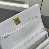 Chanel New Classic Versatile Pearl Chain Cross Bag Size: 19.5 CM