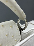 Louis Vuitton New Classic Handbag Crossbody Bag