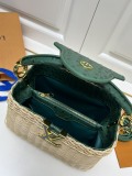 Louis Vuitton New Classic Vine Weaving Handbag Crossbody Bag Size: 27 × 17.3 × 9 CM