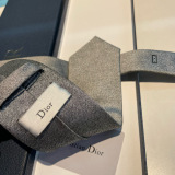 Dior New Classic Men's Embroidered Logo Tie