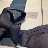 Dior New Classic Men's Embroidered Logo Tie