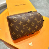 Louis Vuitton New Dinosaur Wallet Earphone Bag Crossbody Bag