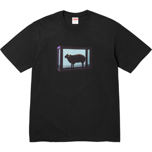 Supreme Couple Golden Horn Goat Sheep Printed Short Sleeved T-shirt