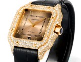 Cartier Sandus Full Diamond Belt Automatic Mechanical Watch