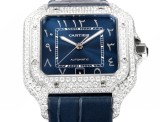 Cartier Sandus Full Diamond Belt Automatic Mechanical Watch