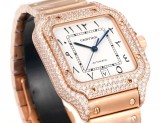 Cartier Sandus Men's Full Diamond Automatic Mechanical Watch