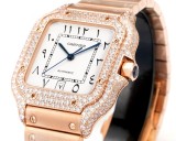 Cartier Sandus Men's Full Diamond Automatic Mechanical Watch