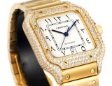 Cartier Sandus Men's Full Diamond Automatic Mechanical Watch