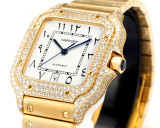 Cartier Sandus Men's Full Diamond Automatic Mechanical Watch