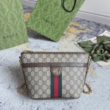 Gucci Classic Logo Canvas Collar Chain Bag Cross Shoulder Bag Size: 21x16x11CM
