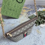 Gucci Classic Logo Canvas Collar Chain Bag Cross Shoulder Bag Size: 21x16x11CM