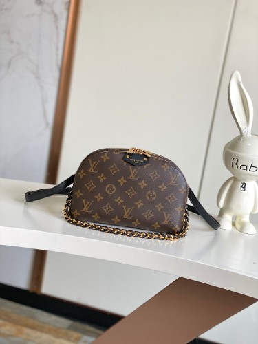 Louis Vuitton Classic Logo Printed Makeup Bag Crossbody Bag Size: 15x7x27CM
