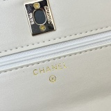 Chanel Classic Logo Hollow Flip Sheepskin Chain Crossbody Bag Size: 19.5 CM