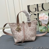 Dior Fashion Vertical Handheld Indigenous Bag Crossbody Bag Size: 16x18x12 CM