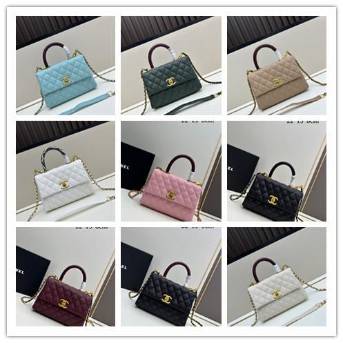 Chanel Classic Coco Handle Double C Chain Crossbody Bag Handbag Size: 22x15x8 CM