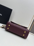 Chanel Classic Coco Handle Double C Chain Crossbody Bag Handbag Size: 22x15x8 CM