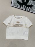 Dior Spring/Summer New Gold Thread Logo Hollow Knitted Round Neck Short Sleeve