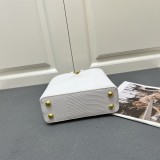 Louis Vuitton Classic LV Letter Lizard Leather Mini Handbag Size：21 x 14 x 8 CM