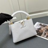 Louis Vuitton Classic LV Letter Lizard Leather Mini Handbag Size：21 x 14 x 8 CM