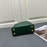 Louis Vuitton Classic LV Letter Lizard Leather Mini Handbag Size：21 x 14 x 8 CM