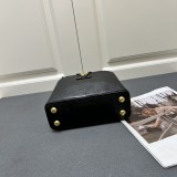 Louis Vuitton Classic LV Letter Lizard Leather Mini Handbag Size：21 x 14 x 8 CM